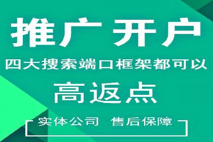 SEM竞价优化策略：成功案例解析